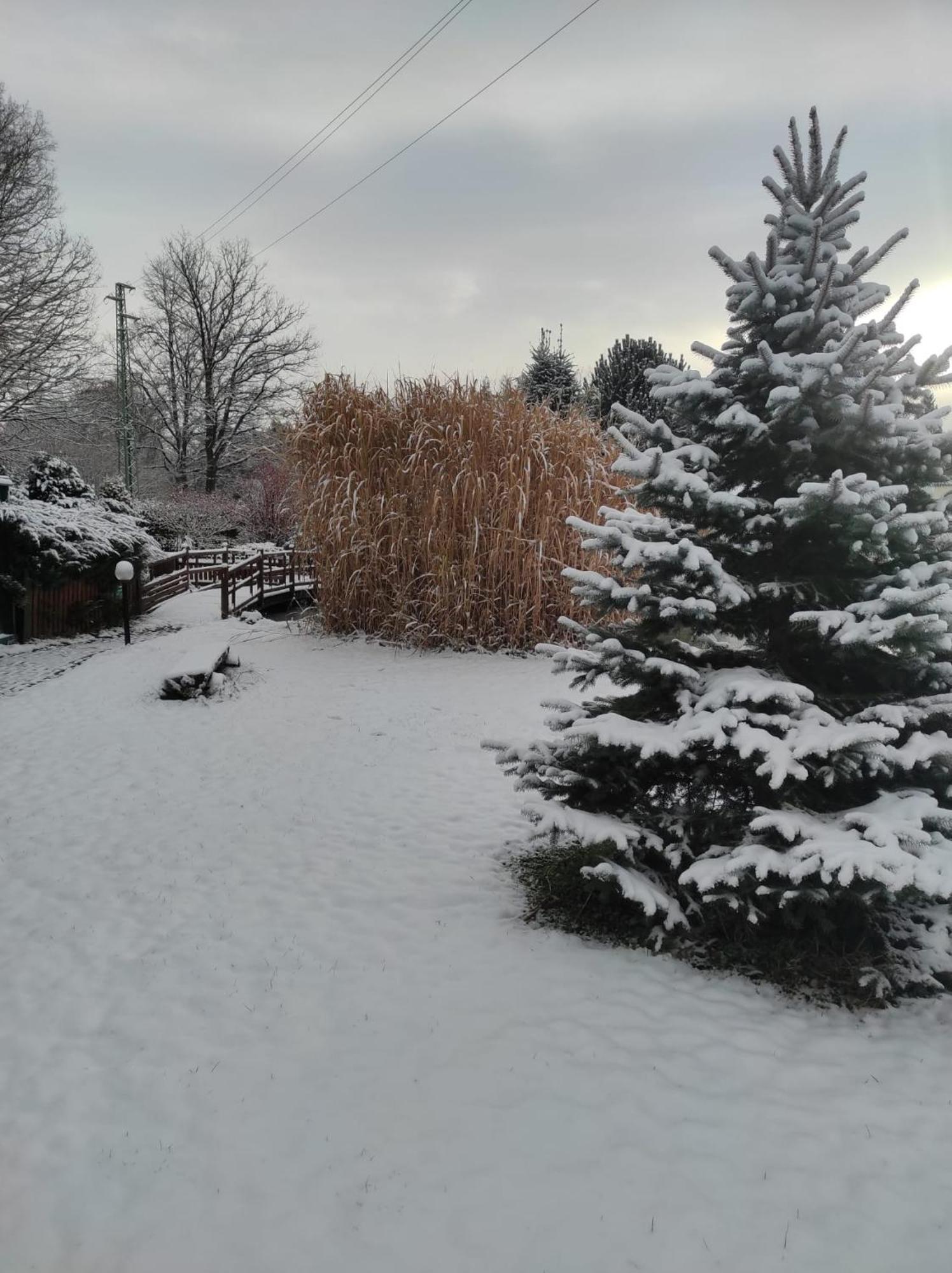 Penzion Kosky Hamr Экстерьер фото